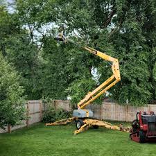 Best Hedge Trimming  in Doraville, GA